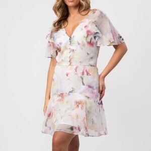 Ted, baker, watercolor, pastel Sangro Fit and flare mini dress￼